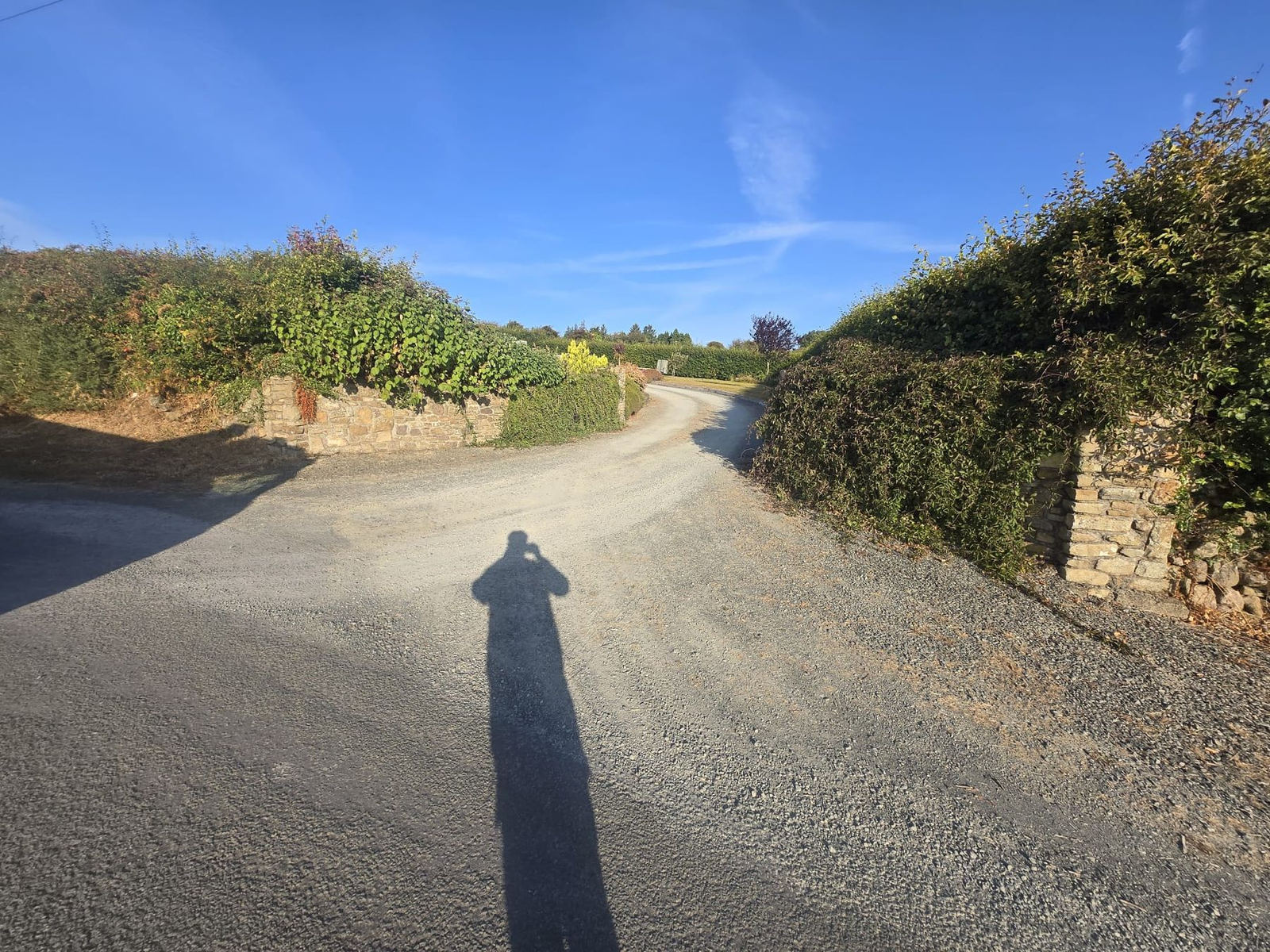 Driveway Finish in County Carlow